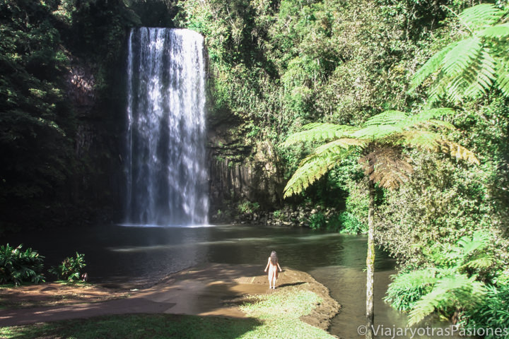 Espectacular imagen de la famosa cascada Millaa Millaa, cerca de Cairns, en Australia