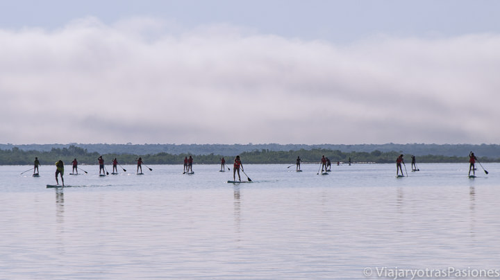 Grupo haciendo paddle surf en la Laguna Bacalar, México