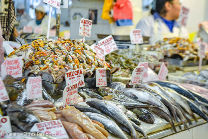 Espectacular puesto de pescado en el mercado central de Lima, Perú