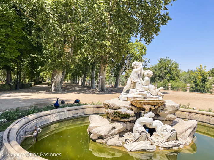 Bonita vista en los jardines del Palacio Real de Aranjuez, España