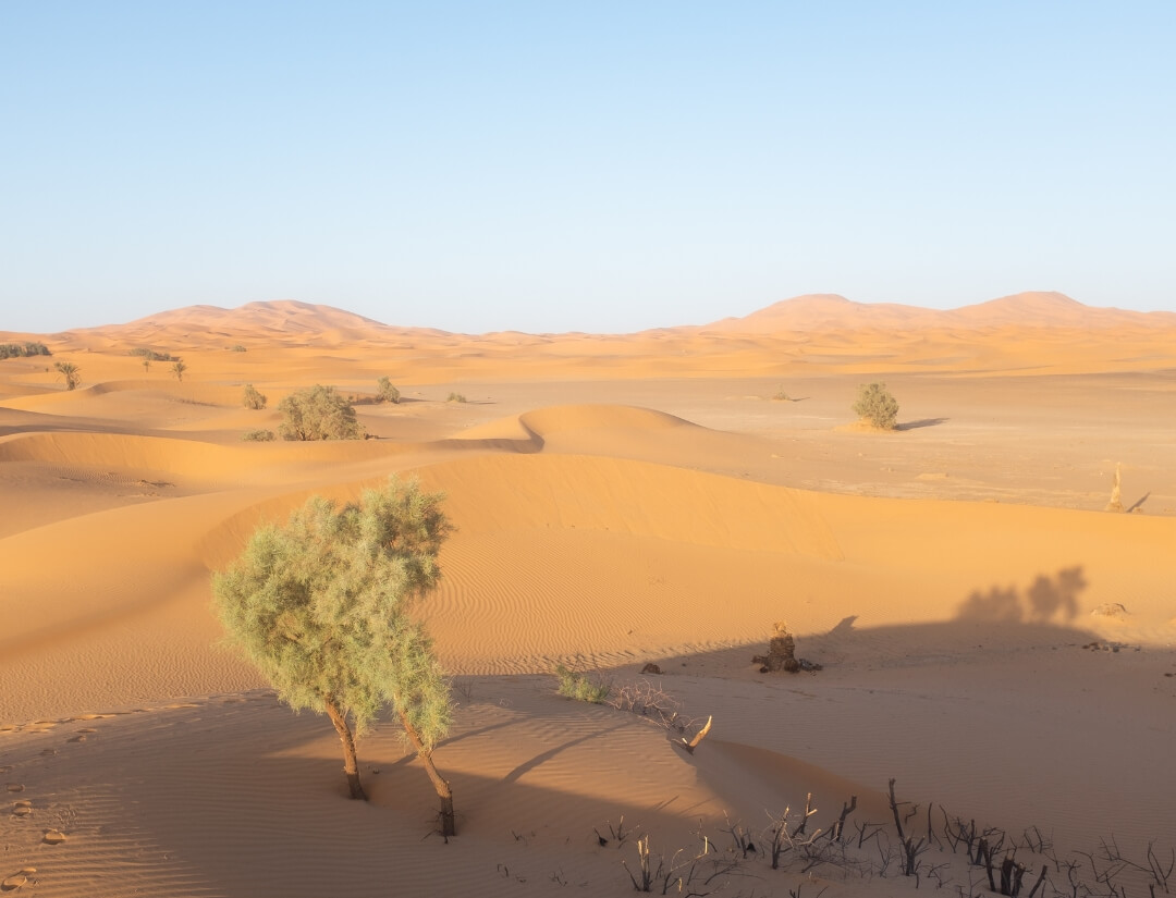 Vista de las dunas del Sahara cerca de Merzouga, Marruecos